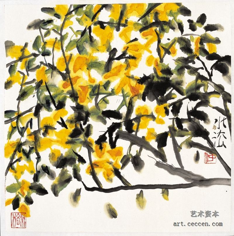 连翘 2010